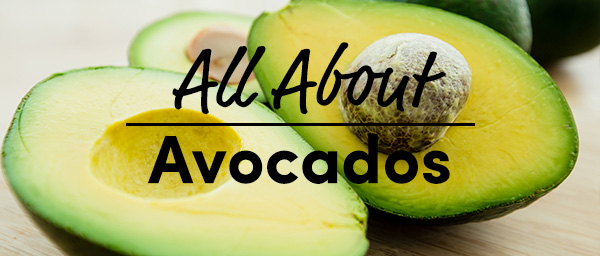 all about avocados